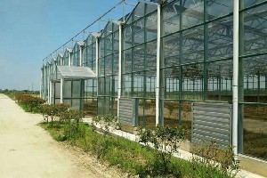 园艺温室建造与智能温室造价全面解析 利广温室的优势与成本