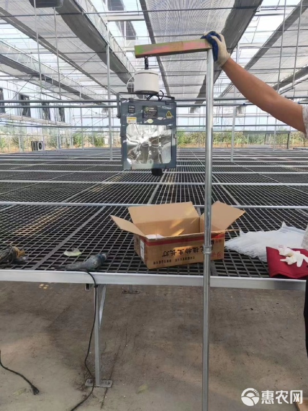 激光植物补光灯育苗大棚补光灯促进植物生长根系发达,存活率高