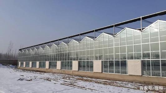 智能温室建设,现代农业发展新方向!