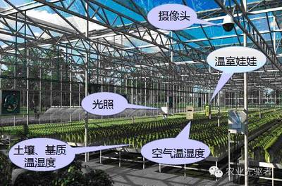 智能温室 现代农业发展的新方向
